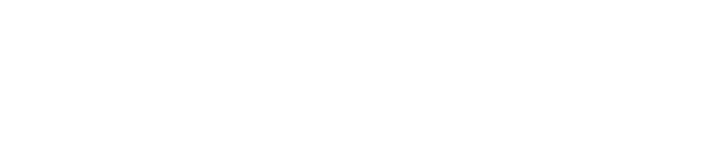 امیران سرویس 2